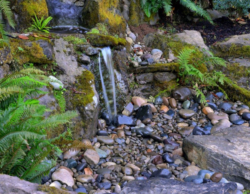 Image of a West Linn Water Feature Design and Installation by Drake's 7 Dees