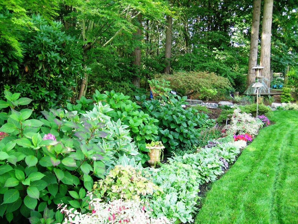 Image of a Ridgefield backyard garden design and installation project by Drake's 7 Dees