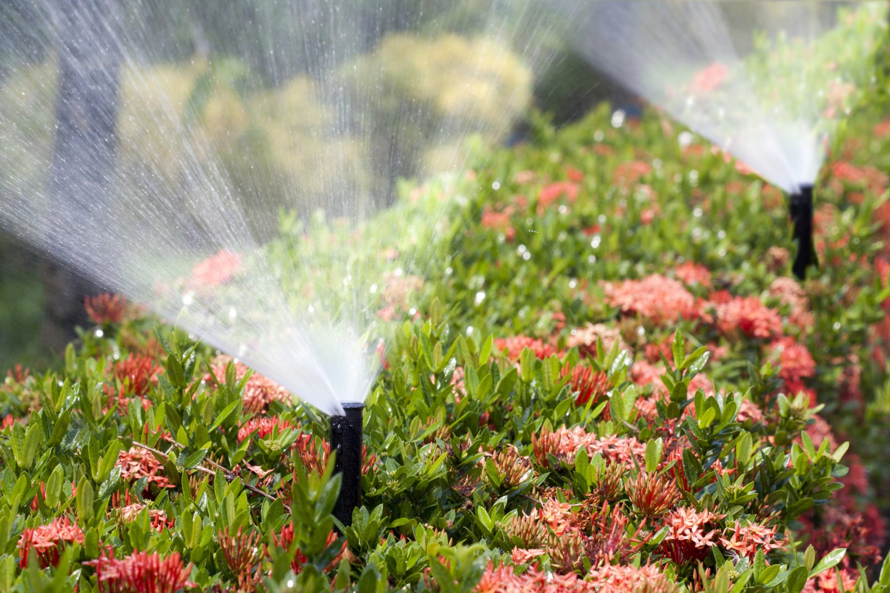 Image for Raleigh Hills Sprinkler System Repair