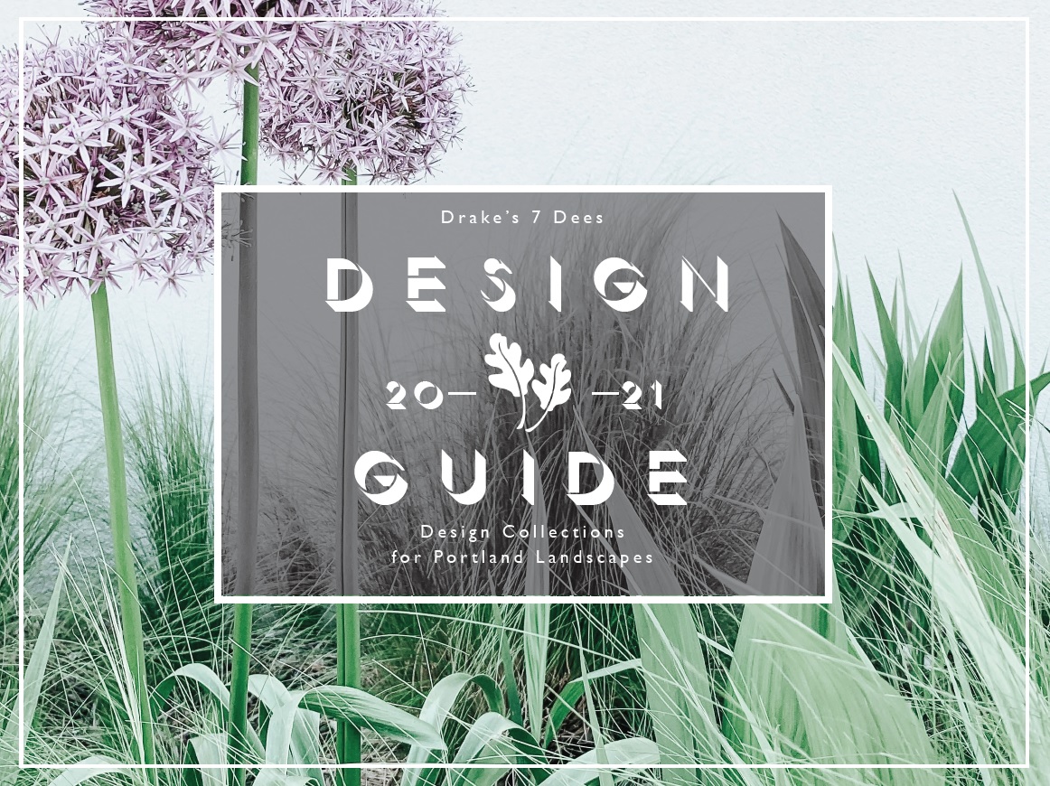 Design Guide 2021 Cover