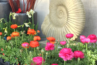 garden-drakes-4